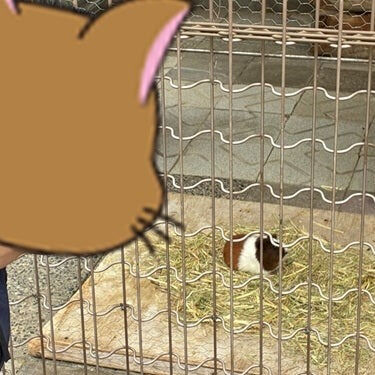 にゃんゲーカフェよっかいちです