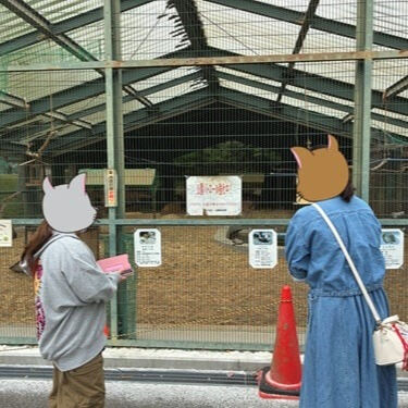 にゃんゲーカフェよっかいちです