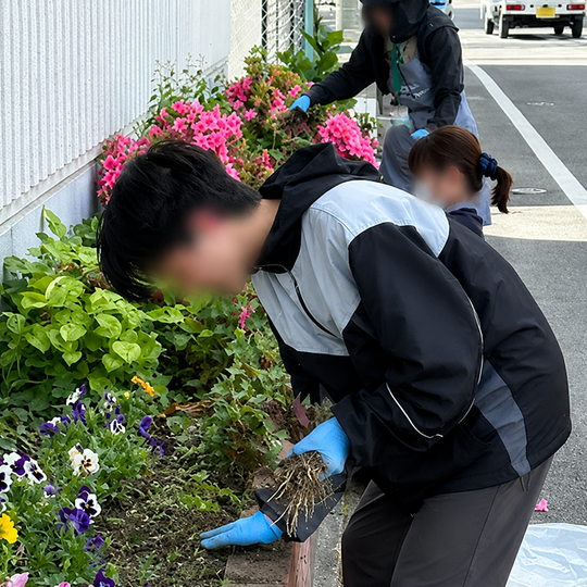 花壇の手入れ