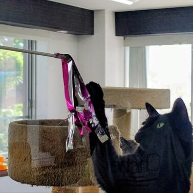 工作レク「猫のおもちゃ作り」