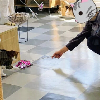 工作レク「猫のおもちゃ作り」