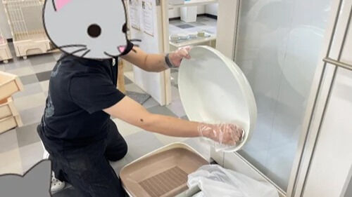 台風ですが、猫トイレ掃除です。