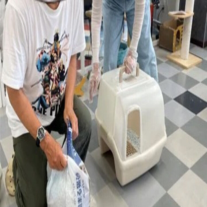 台風ですが、猫トイレ掃除です。