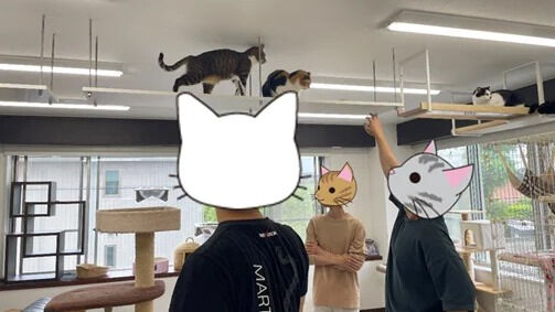 台風ですが、猫トイレ掃除です。