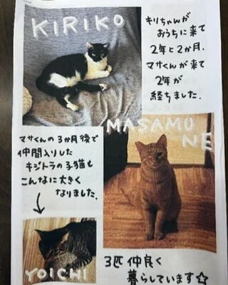 ストレッチレク