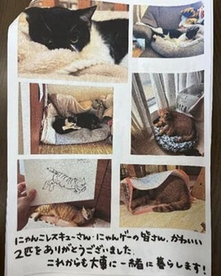 ストレッチレク
