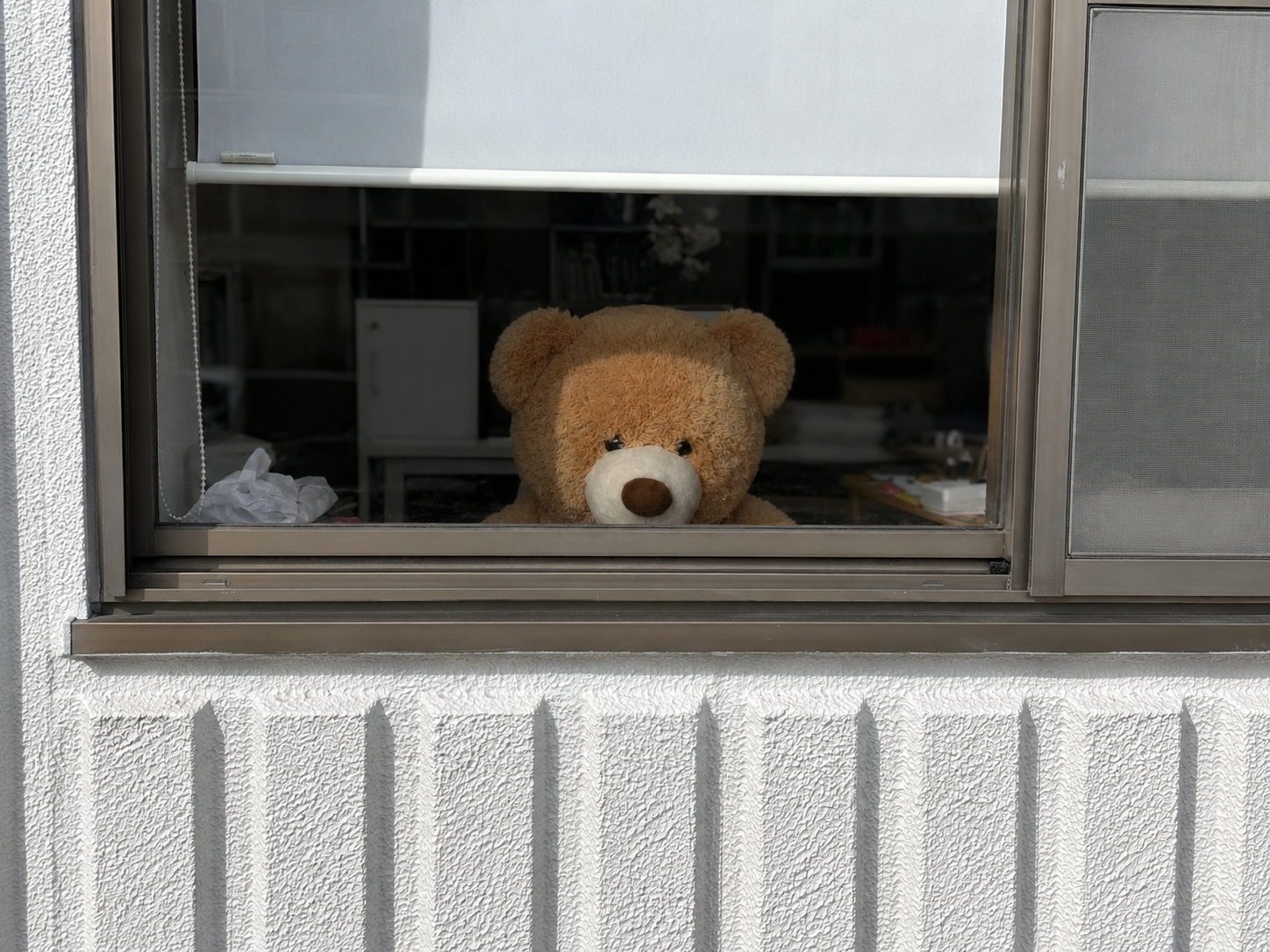 新しいスタッフです？？？え～