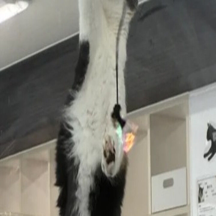 書道レク