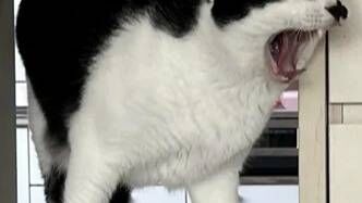 カラオケレク♪
