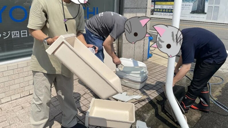 猫トイレ掃除 ＆ 壁面飾りレク