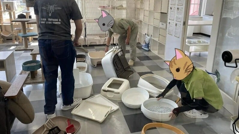 猫トイレ掃除 ＆ 壁面飾りレク